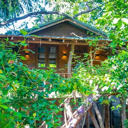 Hotel Dambulla Wilderness World Buitenkant foto