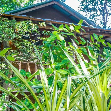 Hotel Dambulla Wilderness World Buitenkant foto