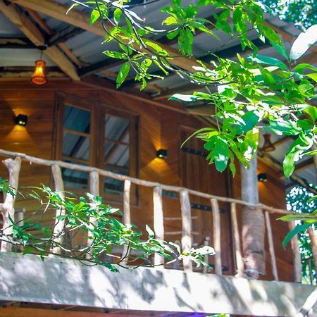 Hotel Dambulla Wilderness World Buitenkant foto