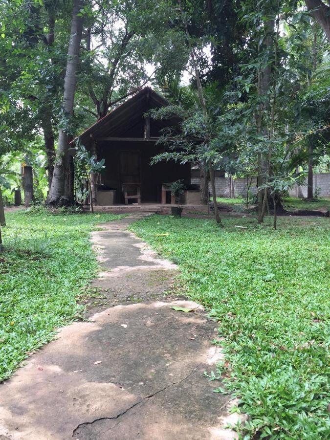 Hotel Dambulla Wilderness World Buitenkant foto