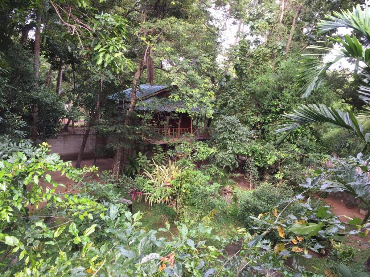 Hotel Dambulla Wilderness World Buitenkant foto