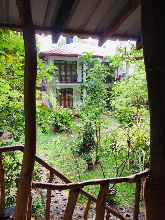 Hotel Dambulla Wilderness World Buitenkant foto