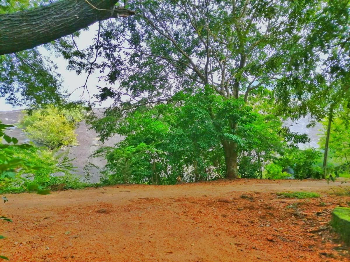 Hotel Dambulla Wilderness World Buitenkant foto
