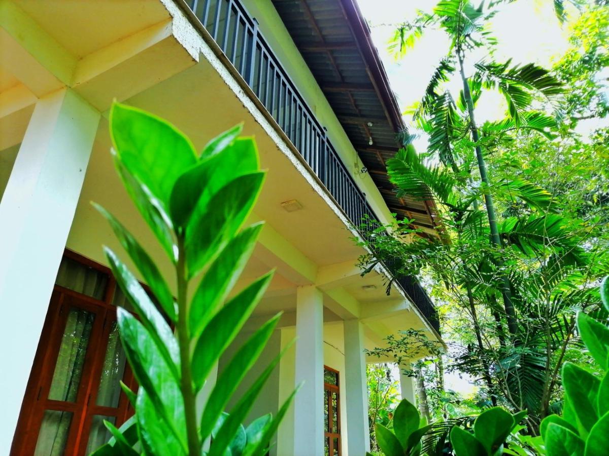 Hotel Dambulla Wilderness World Buitenkant foto