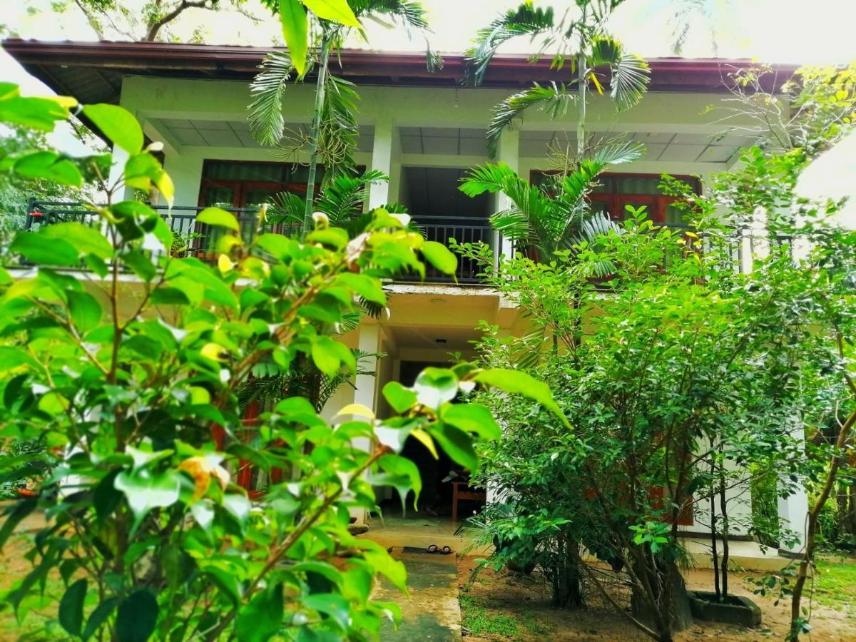 Hotel Dambulla Wilderness World Buitenkant foto