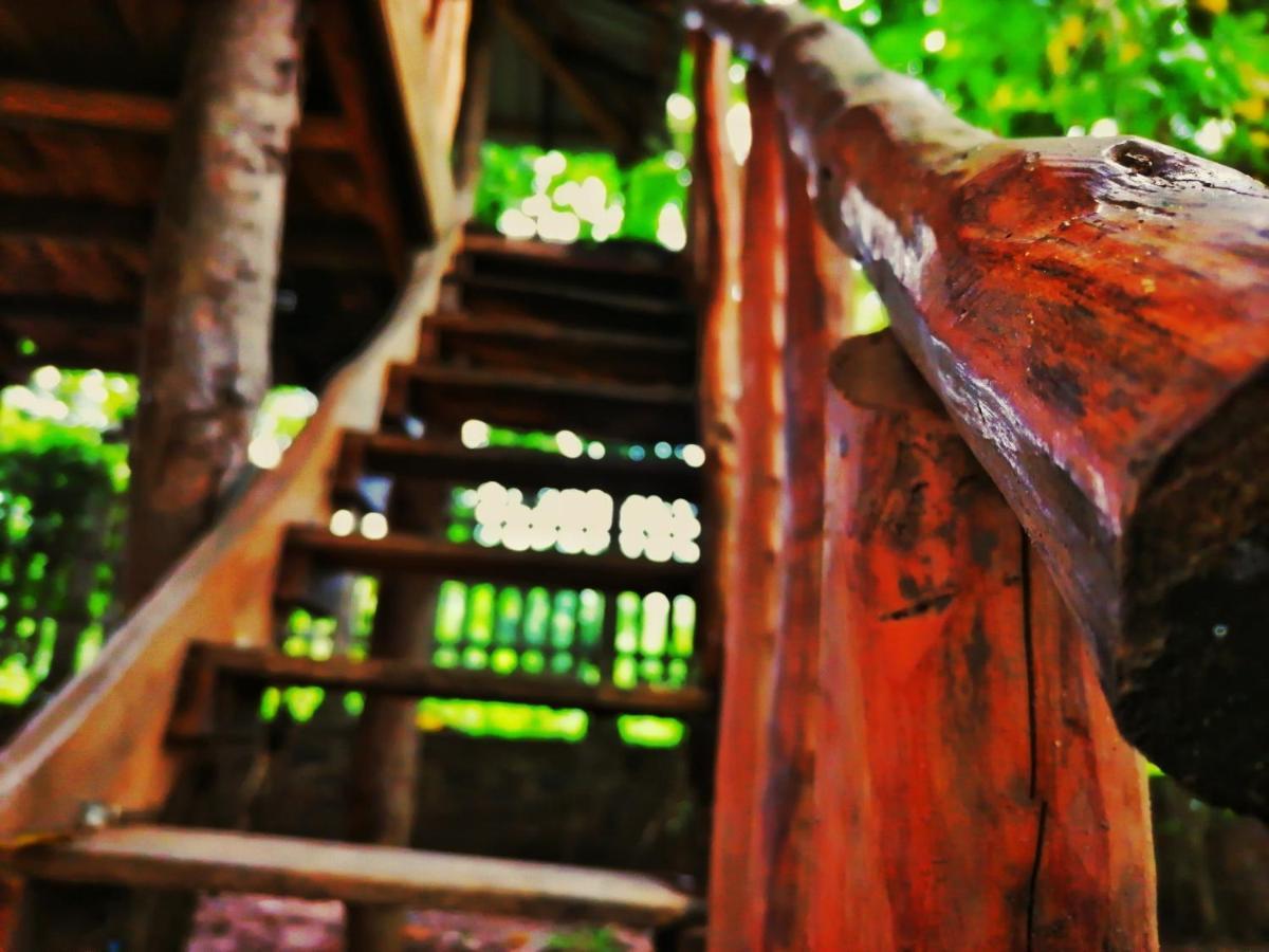 Hotel Dambulla Wilderness World Buitenkant foto