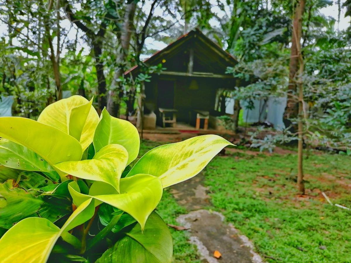 Hotel Dambulla Wilderness World Buitenkant foto