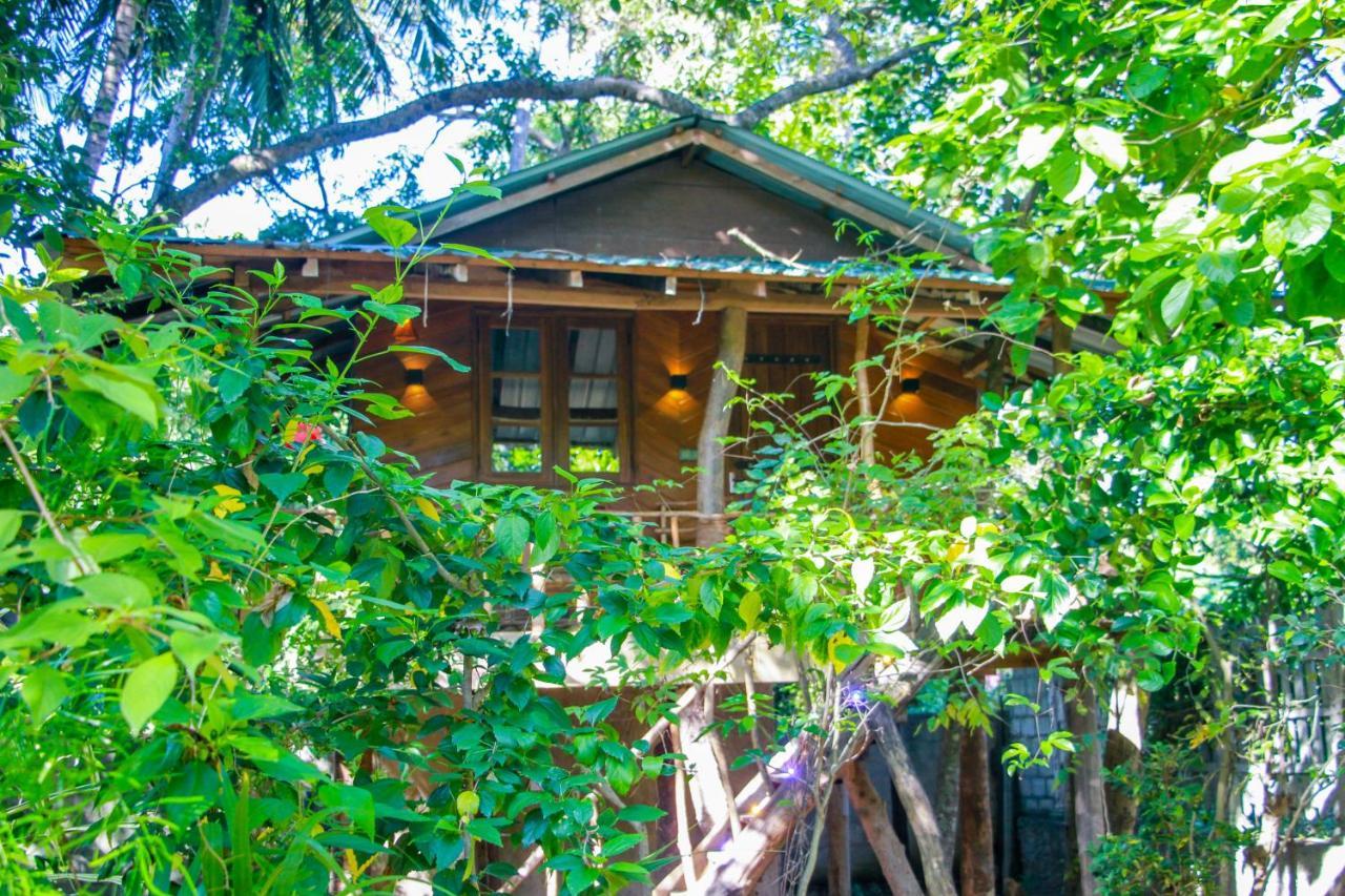 Hotel Dambulla Wilderness World Buitenkant foto