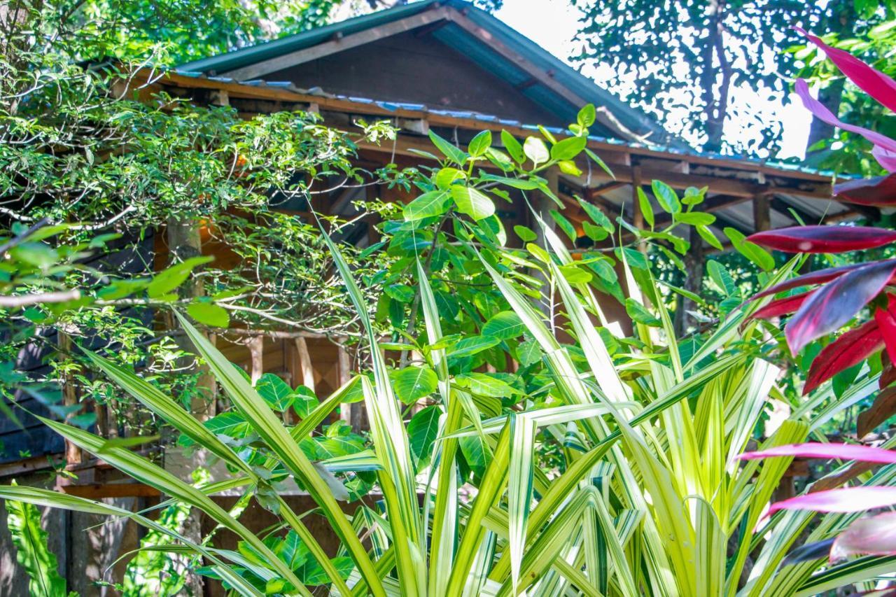 Hotel Dambulla Wilderness World Buitenkant foto
